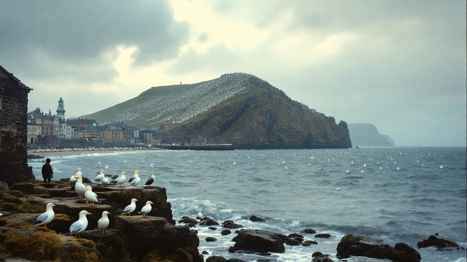 Wide shot of the Bass Rock from the sea showing white gannet coverage